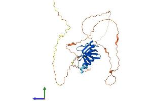 Protein Structure (PS) image for Spermatogenesis Associated 22 (SPATA22) (AA 1-358) protein (His tag) (ABIN7557539)