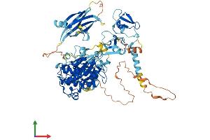 Protein Structure (PS) image for Protein Kinase C, theta (PRKCQ) (AA 1-707) protein (His tag) (ABIN7563579)