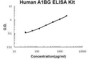 Human A1BG/alpha 1B-Glycoprotein PicoKine ELISA Kit standard curve (A1BG ELISA 试剂盒)