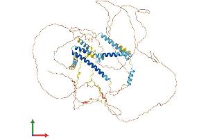 Protein Structure (PS) image for Consortin, Connexin Sorting Protein (CNST) (AA 1-725) protein (His tag) (ABIN7546646)