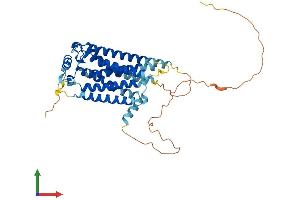 Protein Structure (PS) image for Sphingosine-1-Phosphate Receptor 5 (S1PR5) (AA 1-398) protein (His tag) (ABIN7545874)