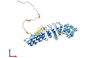 Protein Structure (PS) image for Ankyrin Repeat and SOCS Box-Containing 10 (ASB10) (AA 1-467) protein (His tag) (ABIN7552362)