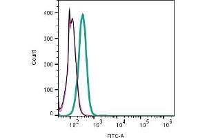 Cell surface detection of CD9 by indirect flow cytometry in live intact human  monocytic leukemia cell line: + goat-anti-rabbit-FITC. (CD9 抗体  (Extracellular))