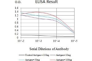 Black line: Control Antigen (100 ng),Purple line: Antigen (10 ng), Blue line: Antigen (50 ng), Red line:Antigen (100 ng) (Cytochrome C 抗体  (AA 1-105))