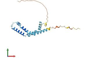 Protein Structure (PS) image for Biorientation of Chromosomes in Cell Division 1 (BOD1) (AA 1-173) protein (His tag) (ABIN7557524)