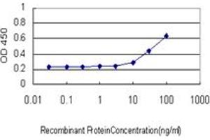 Detection limit for recombinant GST tagged LHX4 is approximately 3ng/ml as a capture antibody. (LHX4 抗体  (AA 208-306))