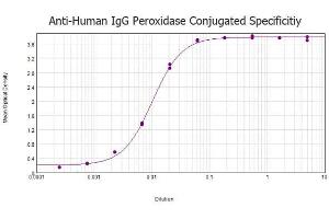 ELISA results of Rabbit anti-Human IgG Antibody Peroxidase Conjugated tested against purified Human IgG protein. (兔 anti-人 IgG (Heavy & Light Chain) Antibody (HRP))
