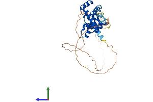 Protein Structure (PS) image for Sine Oculis-Related Homeobox 3 (SIX3) (AA 1-333) protein (His tag) (ABIN7563957)