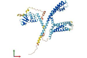 Protein Structure (PS) image for Potassium Voltage-Gated Channel, Subfamily G, Member 1 (KCNG1) (AA 1-514) protein (His tag) (ABIN7561971)