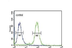 GP6 Antibody (C-term) (ABIN651878 and ABIN2840435) flow cytometric analysis of K562 cells (right histogram) compared to a negative control cell (left histogram). (GP6 抗体  (C-Term))