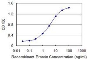 Detection limit for recombinant GST tagged IPO7 is 0. (IPO7 抗体  (AA 950-1038))