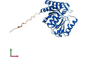 AlphaFold protein structure predicition of Mouse Recombinant Impa2 Protein, UniprotID Q91UZ5 (IMPA2 Protein (AA 1-290) (His tag))