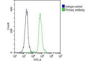 Overlay histogram showing THP-1 cells stained with E (green line).