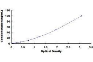 Heat Shock 70kDa Protein 1B (HSPA1B) ELISA Kit