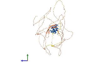 Protein Structure (PS) image for E74-Like Factor 1 (Ets Domain Transcription Factor) (ELF1) (AA 1-612) protein (His tag) (ABIN7557612)