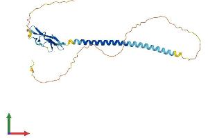 Protein Structure (PS) image for Sushi Domain Containing 3 (SUSD3) (AA 1-255) protein (His tag) (ABIN7546428)