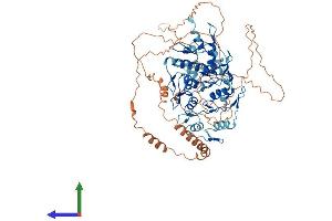 Protein Structure (PS) image for Zinc Finger Protein 782 (ZNF782) (AA 1-699) protein (His tag) (ABIN7545763)