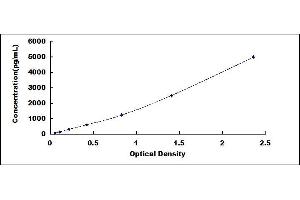 Typical standard curve (FUBP1 ELISA 试剂盒)