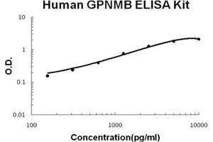 Human GPNMB/Osteoactivin PicoKine ELISA Kit standard curve (Osteoactivin ELISA 试剂盒)