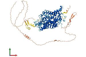 Protein Structure (PS) image for Solute Carrier Family 6 (Neurotransmitter Transporter, Glycine), Member 5 (SLC6A5) (AA 1-797) protein (His tag) (ABIN7555373)