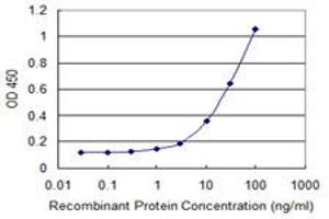 Detection limit for recombinant GST tagged THAP11 is 1 ng/ml as a capture antibody. (THAP11 抗体  (AA 1-85))