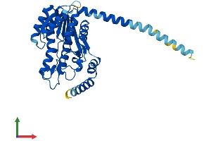 Protein Structure (PS) image for Dehydrogenase/reductase (SDR Family) Member 7B (DHRS7B) (AA 1-323) protein (His tag) (ABIN7560297)