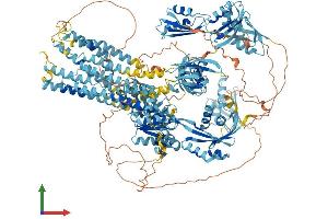 AlphaFold protein structure predicition of Mouse Recombinant Atp7b Protein, UniprotID Q64446