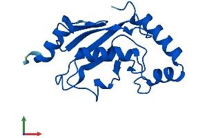 AlphaFold protein structure predicition of Human Recombinant UBE2N Protein, UniprotID P61088