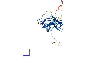 Protein Structure (PS) image for Melanoma Antigen Family A, 4 (MAGEA4) (AA 1-317) protein (His tag) (ABIN7549312)