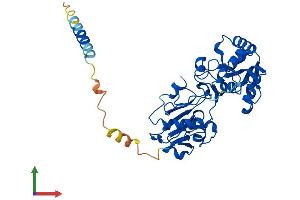Protein Structure (PS) image for Fucosyltransferase 9 (Alpha (1,3) Fucosyltransferase) (FUT9) (AA 1-359) protein (His tag) (ABIN7547851)