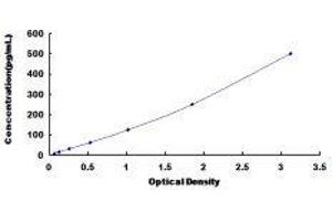 Folate Receptor 1 (Adult) (FOLR1) ELISA Kit