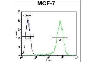 LYSMD4 Antibody (N-term) (ABIN654381 and ABIN2844130) flow cytometric analysis of MCF-7 cells (right histogram) compared to a negative control cell (left histogram). (LYSMD4 抗体  (N-Term))