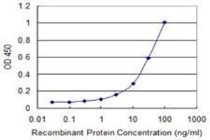 Detection limit for recombinant GST tagged CARD6 is 0. (CARD6 抗体  (AA 1-110))