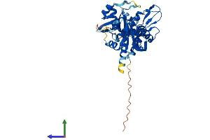 Protein Structure (PS) image for Nudix (Nucleoside Diphosphate Linked Moiety X)-Type Motif 13 (NUDT13) (AA 1-352) protein (His tag) (ABIN7559405)