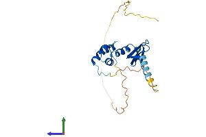 Protein Structure (PS) image for Nascent Polypeptide-Associated Complex alpha Subunit 2 (NACa2) (AA 1-215) protein (His tag) (ABIN7549682)