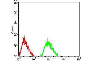 Flow cytometric analysis of SK-N-SH cells using GRIN3B mouse mAb (green) and negative control (red). (GRIN3B 抗体  (AA 135-276))