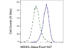 Validation of NSDHL knockdown using flow cytometry. (Recombinant NSDHL 抗体)