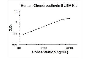 Chondroadherin (CHAD) ELISA Kit