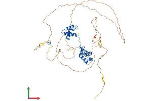 Protein Structure (PS) image for Paired Box 8 (PAX8) (AA 1-450) protein (His tag) (ABIN7550662)