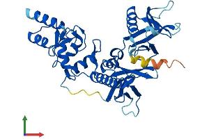 Protein Structure (PS) image for ArfGAP with Dual PH Domains 2 (ADAP2) (AA 1-381) protein (His tag) (ABIN7551883)