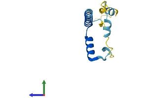 Protein Structure (PS) image for Lin-52 Homolog (LIN52) (AA 1-116) protein (His tag) (ABIN7559257)