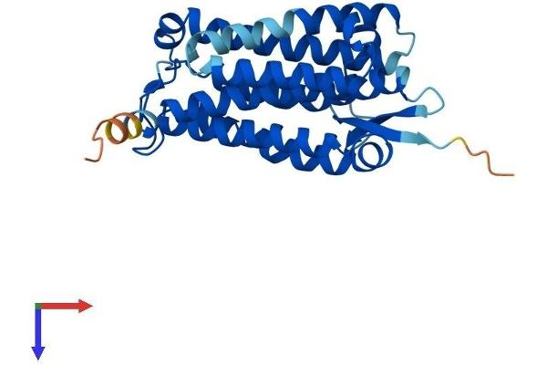 ACER1 Protein (AA 1-273) (His tag)