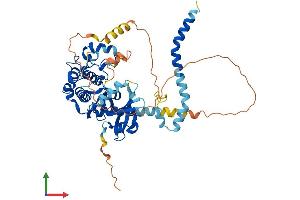 Protein Structure (PS) image for serine/threonine Kinase 4 (STK4) (AA 1-487) protein (His tag) (ABIN7565080)