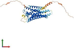 AlphaFold protein structure predicition of Mouse Recombinant Ptger3 Protein, UniprotID P30557 (PTGER3 Protein (AA 1-365) (His tag))