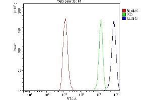Flow Cytometry analysis of RT4 cells using anti-ALDH3A1 antibody (ABIN7602181).