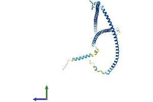 Protein Structure (PS) image for RIB43A Domain with Coiled-Coils 1 (RIBC1) (AA 1-379) protein (His tag) (ABIN7551385)