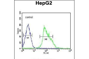 Flow cytometric analysis of HepG2 cells (right histogram) compared to a negative control cell (left histogram). (UBP17 抗体  (C-Term))