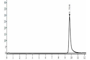 Size-exclusion chromatography-High Pressure Liquid Chromatography (SEC-HPLC) image for Protein Tyrosine Phosphatase Type IVA, Member 3 (PTP4A3) (AA 1-170) protein (His tag) (ABIN7275479)