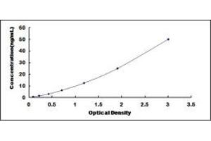 Typical standard curve (MANSC1 ELISA 试剂盒)