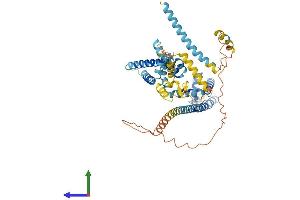Protein Structure (PS) image for Cation Channel, Sperm Associated 2 (CATSPER2) (AA 1-530) protein (His tag) (ABIN7546870)